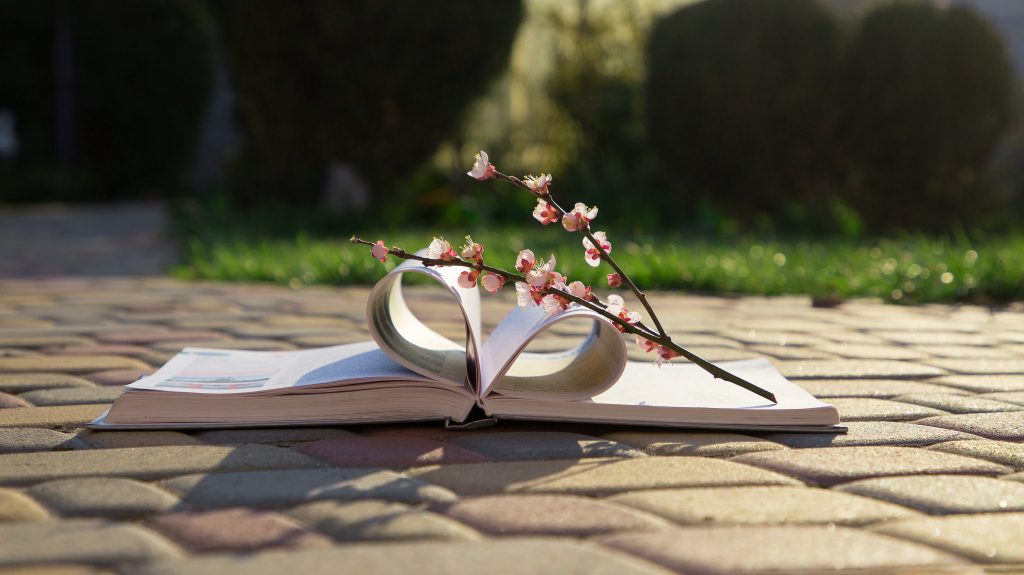 Buch mit Kirschblüte